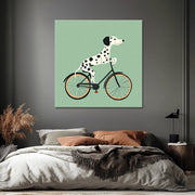 Hund auf dem Fahrrad