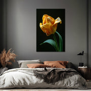 Gelbe Tulpe