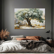 Majestueuze Olijfboom