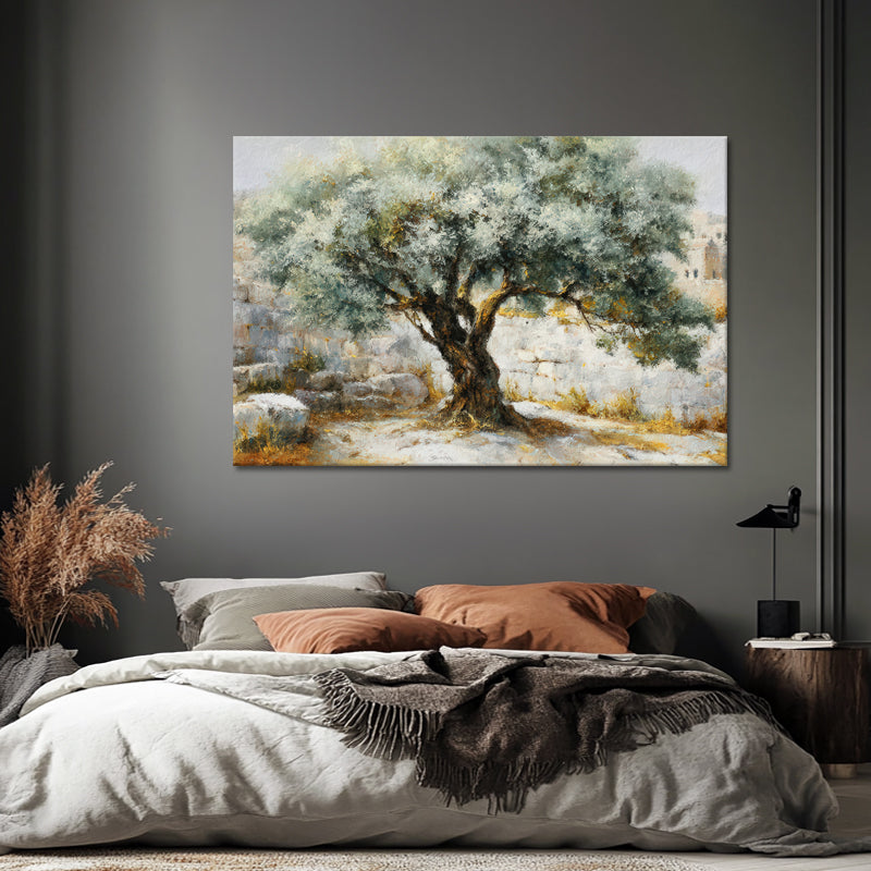 Majestueuze Olijfboom