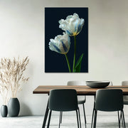 Elegante Witte Tulpen