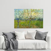 Obstgarten mit blühenden Aprikosenbäumen – Van Gogh