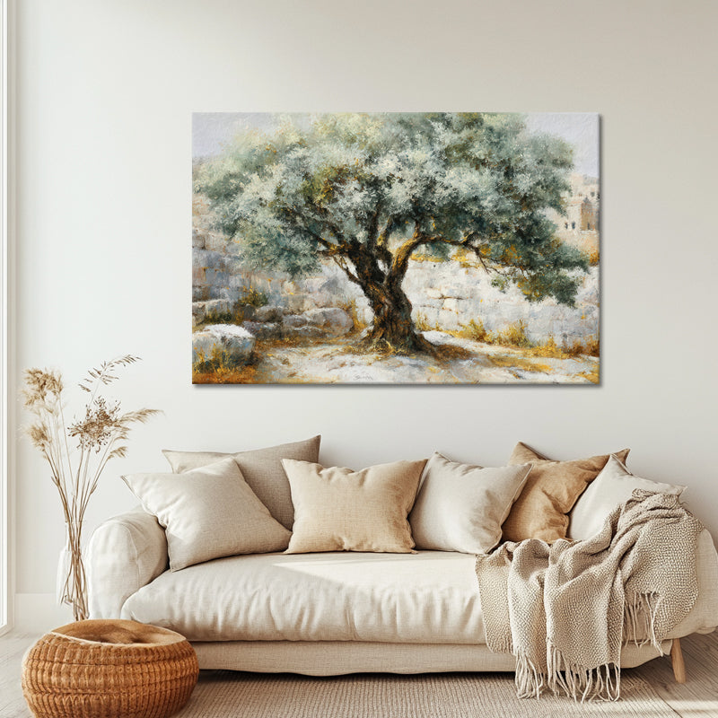 Majestueuze Olijfboom