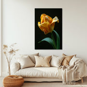 Gelbe Tulpe