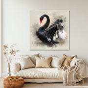Der Schwarze Schwan III