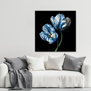 Delfter blaue Tulpen