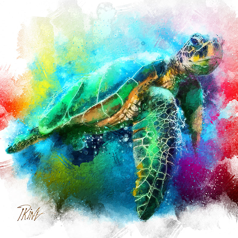 Schildkröte in Farbe