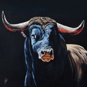 Stier