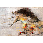 Pferd in Farbe